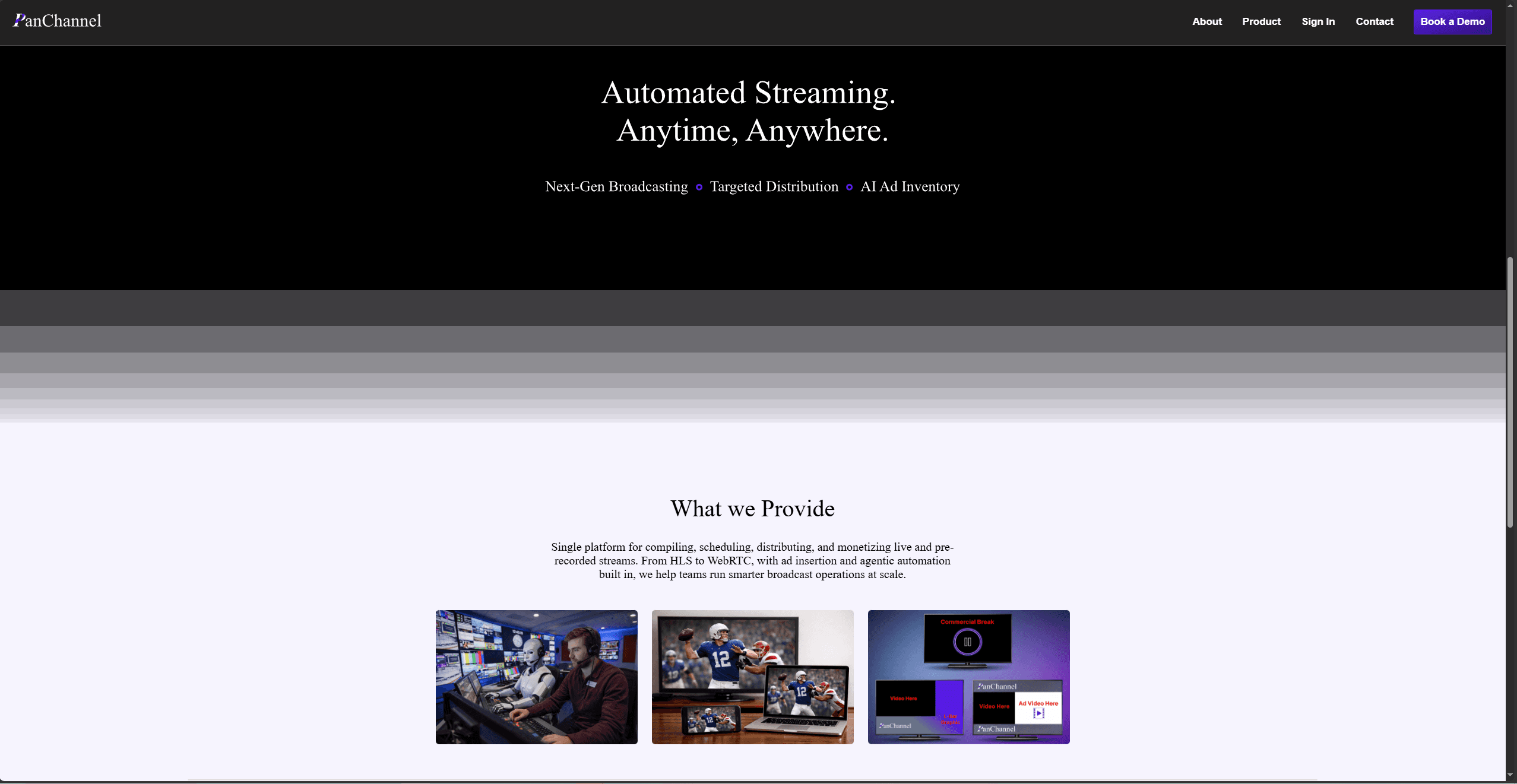 PanChannel: Static HTML/CSS Site Redesign From Dated To Modern screenshot 2